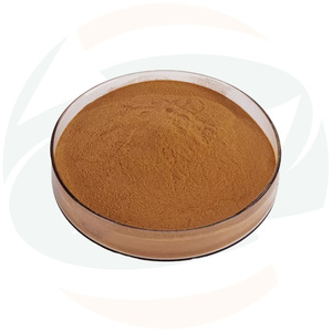 Ekstrak <span class=keywords><strong>Angelica</strong></span> <span class=keywords><strong>Dahurian</strong></span> Spesifikasi Khusus Herbal Cina Grosir Ekstrak Tumbuhan Alami untuk Produk Perawatan Kulit dan Kesehatan - Product Image 4