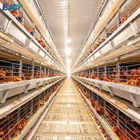 Cage à poules pondeuses automatique galvanisée à chaud, cage en batterie pour volailles, équipement complet pour ferme avicole