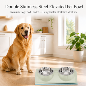 Double Stainless Steel Eco-Friendly Elevated Pet Bowl <strong>Raised</strong> <strong>Dog</strong> Food <strong>Feeder</strong> with Plastic Bowl Dispenser Indoor Use - Product Image 1
