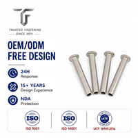 Rivets semi-tubulaires à tête plate personnalisés pour panneaux intérieurs de bus, prototype d'ingénierie, TianFang Steel, oxyde noir, fourniture OEM