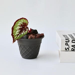 กระถางต้นไม้ทรงกรวยขนาดเล็ก JM Cone ทำจากดินเผาแบบไม่เผา  เป็นมิตรกับสิ่งแวดล้อม ทนทาน น้ำหนักเบา สำหรับปลูกไม้อวบน้ำ สีครีม <span class=keywords><strong>โฮ</strong></span>ยา แบล็ค - Product Image 1