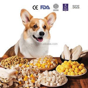 מזון יבש פרימיום לכלבים וחתולים 1.5 ק\\\"ג 5 ק\\\"ג 10 ק\\\"ג אריזות בתפזורת ייצור לפי הזמנה (OEM) מזון לחיות מחמד בתפזורת ייצור לפי הזמנה (OEM/ODM) מזון לכלבים - Product Image 3