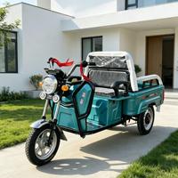 Kart électrique tout-terrain 750W 48V pour adultes avec batterie 20Ah, moteur BLDC, transmission par arbre, buggy des dunes, utilisation en extérieur, 70 km/h, charge 200 kg