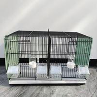 Nouvelle Volière Extérieure de Haute Qualité 2026 avec Panneau Arrière pour Exposition et Présentation d'Oiseaux