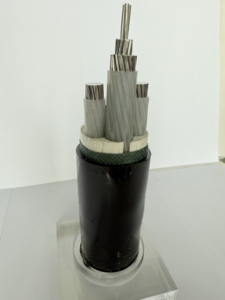 Câble d'alimentation à 2 conducteurs en aluminium basse tension de haute qualité NYY/<span class=keywords><strong>U1000</strong></span>/<span class=keywords><strong>R2V</strong></span>, isolé en PVC, ignifuge, gainé en PVC, pour usage en construction - Product Image 5