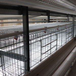 Baterí<span class=keywords><strong>a</strong></span> de alta eficiencia para criar pollos, jaula de malla duradera, equipo de crí<span class=keywords><strong>a</strong></span> de aves de corral para granja de pollos de capa agrícola - Product Image 1