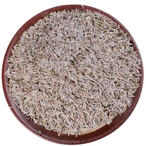 Premium Dried Lettuce Seeds (<strong>Bai</strong> Jusheng) 500g Natural Herbal for Lactation &amp; Kidney Health Wholesale - Product Image 4