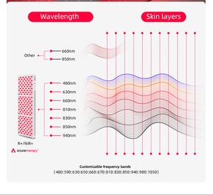 Sistema di Terapia a Luce Rossa AZURE AL1500 per Tutto il Corpo, 300 LED (Multi-Lunghezza d'Onda), Garanzia di 5 Anni per Uso Domestico e Commerciale - Product Image 5