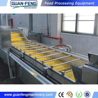 Guanfeng Volautomatische Set Voor Aardappelchips En Bevroren Frietjes Die Fruit-En Groentemachines Verwerken