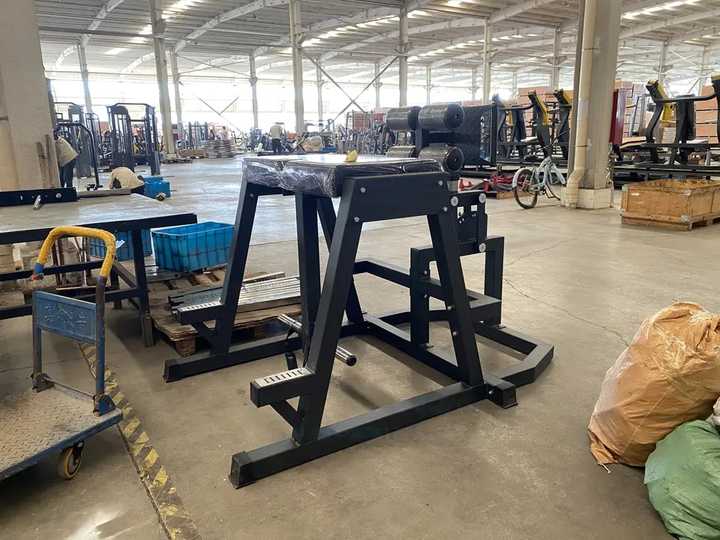 Commercial Plate Loaded Reverse Hyper Machine Hip Extension Exercise ...