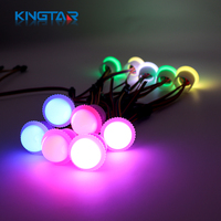 Carnaval 26mm Pixel LED changeant de couleur lampe PVC corps 12V éclairage de fête foraine pour parc d'attractions parc à thème et carrousel