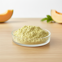 Extrait de melon cantaloup en poudre, jus de fruit soluble dans l'eau 20:1 10:1, qualité alimentaire Halal, 1 kg pour complément alimentaire