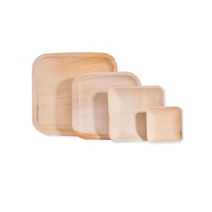 Placa de Areca de diseño de lujo del fabricante indio, fácil de limpiar, desechable para uso doméstico en hoteles y fiestas, exportación disponible - Product Image 1