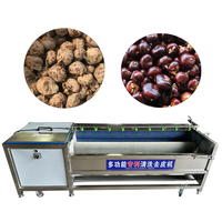 En stock, Machine électrique en acier inoxydable pour éplucher, râper et trancher le tapioca, le manioc, l'avocat et la cassave