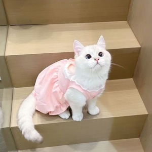 Lindo Vestido de Encaje Estilo Princesa Macaron para Gatos y Perros, Ropa Ligera de Verano para Mascotas, Rosa con Lazo - Product Image 4