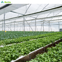Serre agricole multi-chapelles automatique SINO à faible coût avec film PE pour la culture