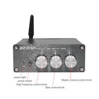 BRZHIFI Chine Usine Stéréo Puissance Amplificateur Numérique Audio HIFI 2.0 Puissance De Sortie 100W * 2 Gris Maison Portable Amp