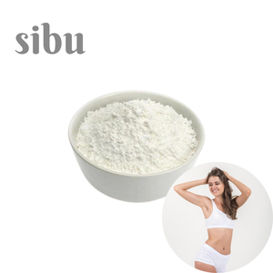 Cuidado DE LA SALUD Quema de grasa Supresor del apetito Pérdida de peso Sibu Regulación del apetito Sibu Polvo crudo Salud metabólica Sibu - Product Image 1