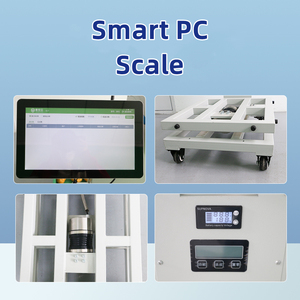Beihieng 150 ק "ג ספסל חכם מערכת אנדרואיד אלקטרוני סולם פלטפורמה אלקטרונית 5g/wifi שידור שליטה אישית odm - Product Image 4