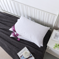 Oreiller en Plumes d'Oie Super Moelleuses OEM 2025 pour Hôtels, Insert de Coussin pour Sommeil Profond, 100% Coton, Taille Personnalisable, Prix FOB USD 2,5