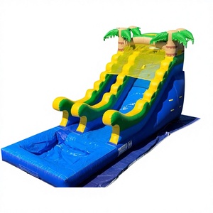 NBINFLATABLE Outdoor Commercial Tropical Thunder Dual Lane <b>Inflatable</b> <b>Water</b> <b>Slide</b> Pool Rental Parties 0.9mm PVC 3-Year Warranty - Product Image 2