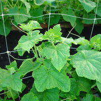 Filet de soutien pour plantes grimpantes en PP, filet à concombres, de plante