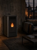 Poêle à granulés de bois à haute efficacité, automatique, à air chaud, autonome, économe en énergie, écologique, pour le chauffage domestique, utilisation en intérieur
