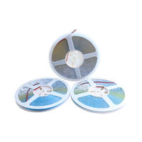 Kit Lampu Strip LED Pintar Kontrol Aplikasi 24V 3000K-6500K Berkualitas Tinggi IP67 CRI90, Terhubung USB, Dapat Dipotong, Bodi Plastik