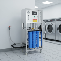 Système de traitement d'eau par osmose inverse 500LPH 3200GPD à flux direct pour le nettoyage textile, purificateur d'eau RO