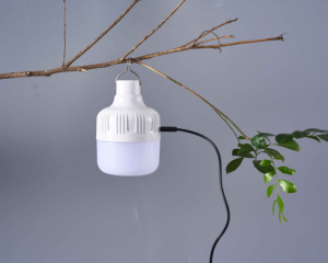 Lámpara Solar Portátil Económica de 10W para Interiores con Batería de Litio Recargable de 1200MAH y Ahorro de Energía - Product Image 1