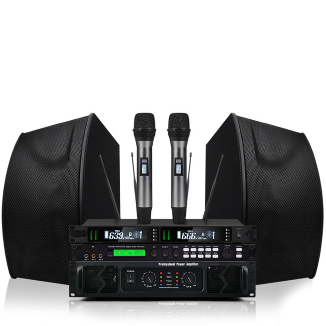 Professional Family KTV Audio 10 Inch Conference Dance Room Karaoke Home Passive Speaker Outdoor Sound System