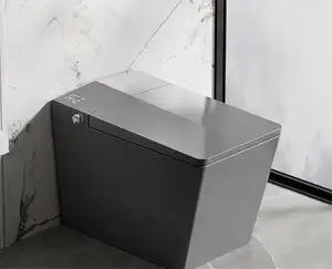 Floor Mounted Ceramic Toilet Shape Remote Control Night Light Seat Heating Matte Black Modern Smart Toilet