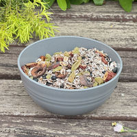 Ensemble de 4 bols à céréales incassables de 26 oz, grand bol pour soupe, pâtes, riz, porridge, dessert, collation, salade, bol en plastique léger