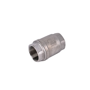 RTS Thép Không Gỉ 201 304 NPT BSP Một Chiều Không Trở Lại H12 Kiểm Tra Van Chủ Đề Mùa Xuân Tải Dọc Kiểm Tra Van - Product Image 1
