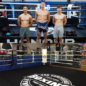 Formation mma équipement OEM Logo <span class=keywords><strong>lutte</strong></span> <span class=keywords><strong>jouet</strong></span> boxe anneau couverture pour Muaythai boxe anneau cordes toile couverture - Product Image 6