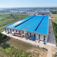 Bâtiment en structure métallique pour entrepôt industriel, atelier et construction d'usine, structure préfabriquée sur mesure