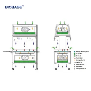 BIOBASE China stasiun Transfer hewan filter ULPA tipe II kelas tipe A2 stasiun Penggantian kandang sisi ganda