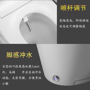 Smart Toilet HMY511 04 Floor Mounted Jet Siphon Heated Seat 200kg Capacity P Trap Drainage Level 13 Flush - Product Image 4