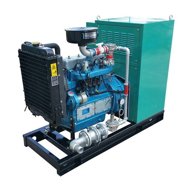 Single Phase High Quality Biogas Generator 5kw Gas Generator Power Plant