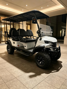 Carrito de Golf Eléctrico Personalizado para 6 Pasajeros, Buggy Todoterreno para Turismo y Patrullaje, Cumple con las Normas DOT, CE y EEC para Carreteras No Públicas - Product Image 1