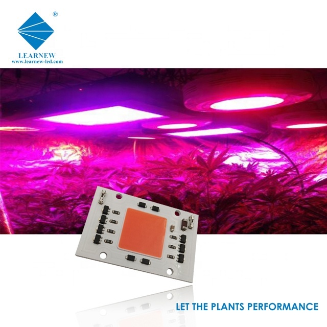 Performance épi pousser led 50W puce avec divers spectre de fabrication de Shenzhen