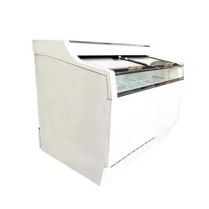 Best selling high quality single temperature freezer for storing food seafood ice cream