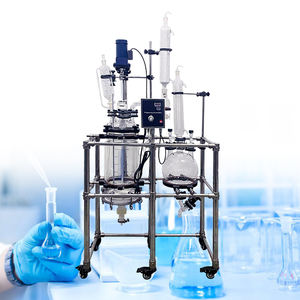 5l 10l 30l 30 L 100l 5 50 100 litres 200l laboratoire industriel chauffé sous vide chemisé continu agité réservoir réacteur en verre scellé - Product Image 2