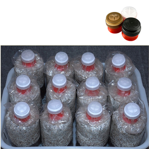 Capuchon filtrant pour sac de culture de champignons en PP avec anneau pour la culture de champignons comestibles en ferme - Product Image 4