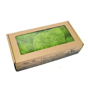 Musgo de micropaisaje blanco fresco <span class=keywords><strong>para</strong></span> <span class=keywords><strong>tierra</strong></span> de agua interior <span class=keywords><strong>para</strong></span> tanque maceta suculenta pared flores al por mayor <span class=keywords><strong>para</strong></span> el Día de San Valentín - Product Image 6