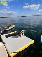 Flotteur gonflable vert rampe d'eau flottante échelle bateaux quais marches pour chiens