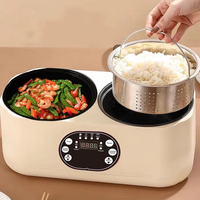 Autocuiseur Électrique Intelligent 1,8L + 1,8L en Gros, Mini Cuiseur à Riz Électrique Automatique Multifonctionnel pour Petits Espaces