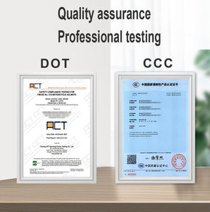 Casco de moto de cara completa, de alta calidad, colorido, doble Visor, Predator - Product Image 2