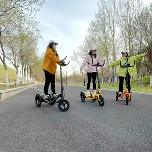 เครื่องออกกำลังกายแบบครอสสเต็ปสำหรับผู้ใหญ่รุ่นใหม่ ความเร็วสูง แรงกระแทกต่ำ สำหรับใช้งานกลางแจ้ง จักรยานออกกำลังกายแบบสามล้อสำหรับฝึกซ้อมฟิตเนสกลางแจ้งรุ่นใหม่ - Product Image 2