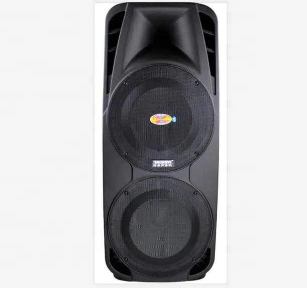 Double 15 inch battery powered PA speaker system remote control